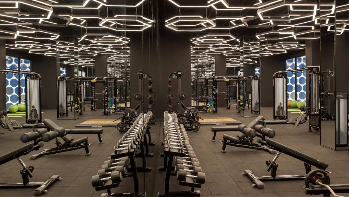 Gepland oneerlijk bladzijde LED Gym Lighting: The Definitive Guide - RC Lighting