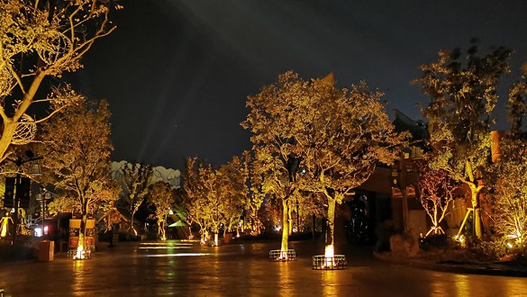 iluminación del árbol1