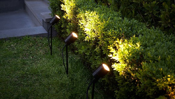 luces de espiga de jardín