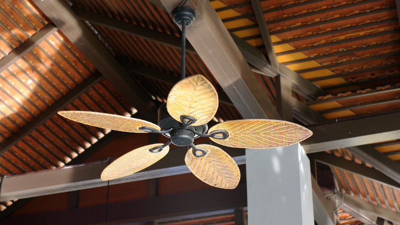 Ceiling Fan Lights