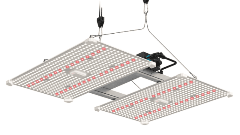 Top 10 LED Grow Lights Manufacturer in China