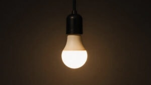 led light bulbs